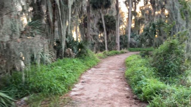 4K ASMR Relaxing Florida Nature Walk | Circle B Bar Reserve смотреть онлайн