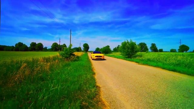 Mustang Паши Пэла Пушка😍 смотреть онлайн