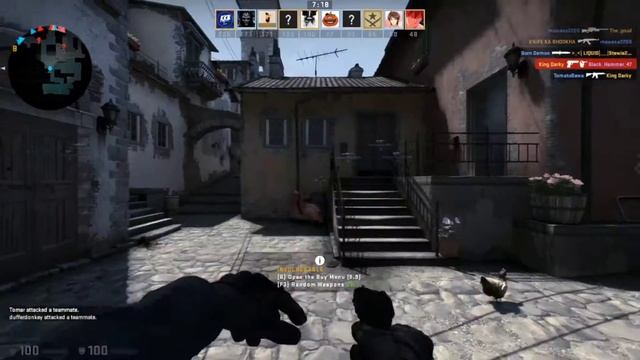 Hammer Play Live Stream |CS:GO | TEST STREAM смотреть онлайн