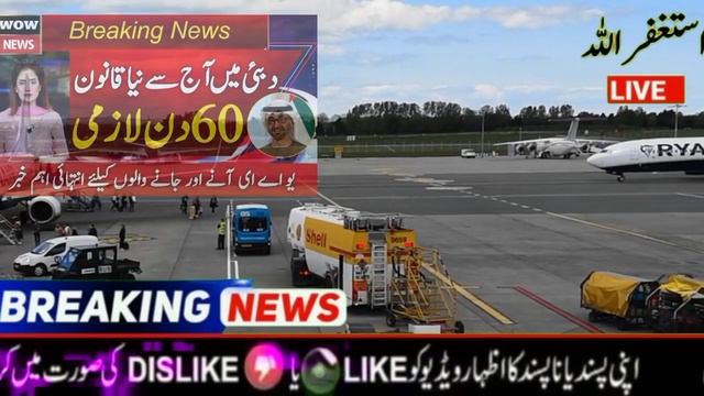 New Law 60 days mandatory in Dubai UAE from today | uae news | dubai news in urdu | important news смотреть онлайн
