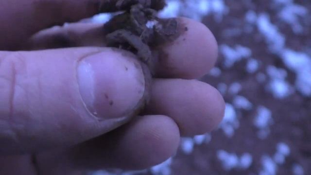 Монеты Александра 1, Николая 1 из-под снега. Закрытие сезона 2023 с #XTerra705 смотреть онлайн