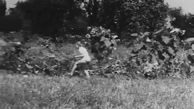 Профилактика аскаридоза, 1988г смотреть онлайн