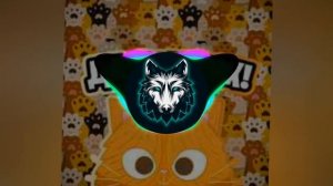 Симбочка - Кот на стиле