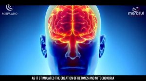 ПОСТ и МОЗГ- Польза или Вред #пост #Рамадан #здоровье #польза