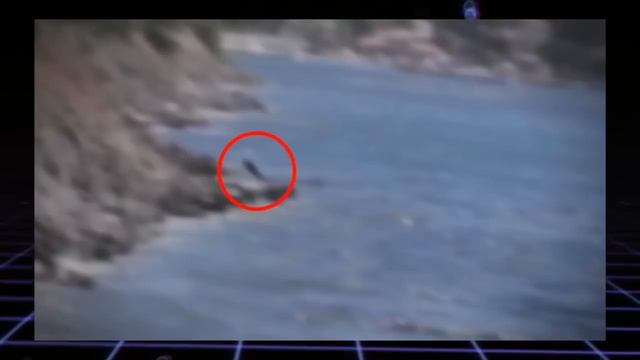 5 SIRÈNES FILMÉES par une CAMÉRA en DIRECT dans LA VRAIE VIE ! смотреть онлайн