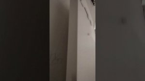 установка межкомнатных дверей с алюминиевой кромкой!!