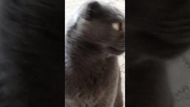 фильм фильм проба