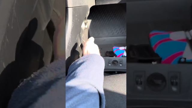 European Auto Enthusiast Extravaganza