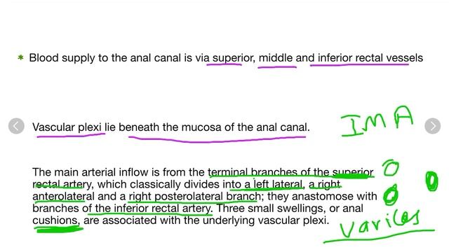 Anus and anal canal lecture 1 part 1 смотреть онлайн