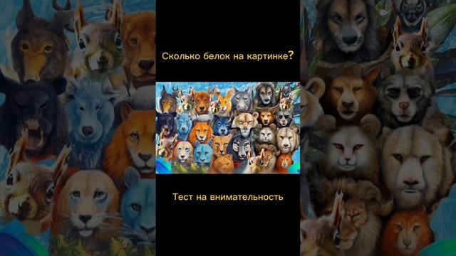 ТЕСТ НА ВНИМАТЕЛЬНОСТЬ смотреть онлайн