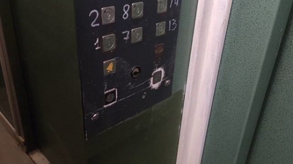 video5438277900749007534