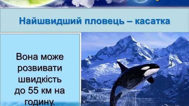 ссавці рекордсмени mp4 смотреть онлайн