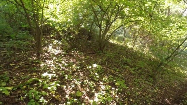 Honda ATC 250 SX Trail Ride (2) смотреть онлайн