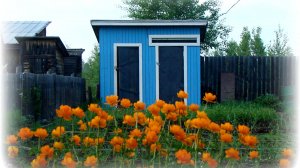 Туалет на даче своими руками