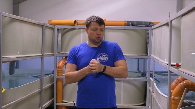 Разведение форели. Инкубация и подращивание малька смотреть онлайн