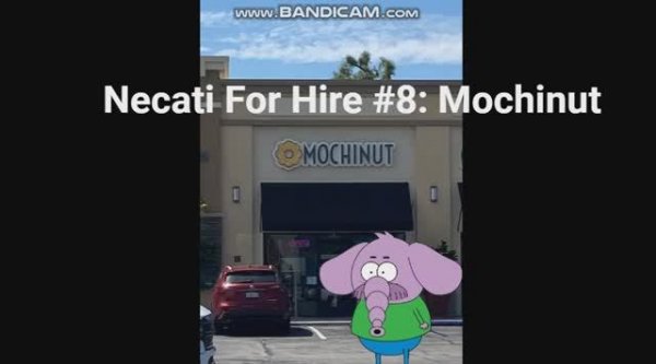 Necati For Hire #8: Mochinut