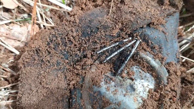 Копал монеты и нашел немецкую высотку