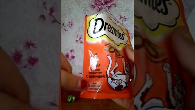 Отзыв кошачих подушечек Dreamies (дримис)