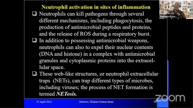Webinar Immunologi 5 смотреть онлайн