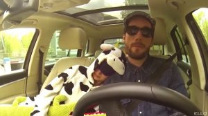 Василий Уриевский   Жизнь после свадьбы