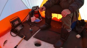 Варёный мормыш и немного живого, получился вот такой результат под лункой. Зимняя рыбалка