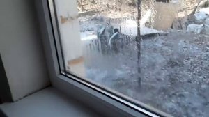 Теплый пол без радиаторов. Холодно или нет_ Плюсы и минусы теплого водяного пола. Конденсат на окнах