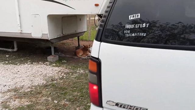 Cammed Tahoe 220/220 4.8 смотреть онлайн