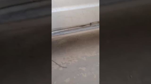 Течь масла из УАЗа смотреть онлайн