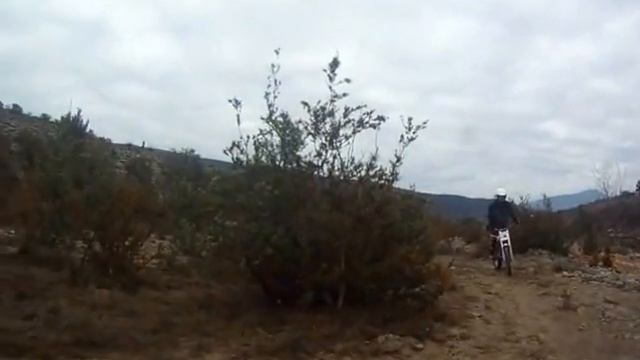 honda tlr 2 смотреть онлайн