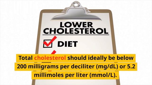 Lipid Profile Test in detail смотреть онлайн