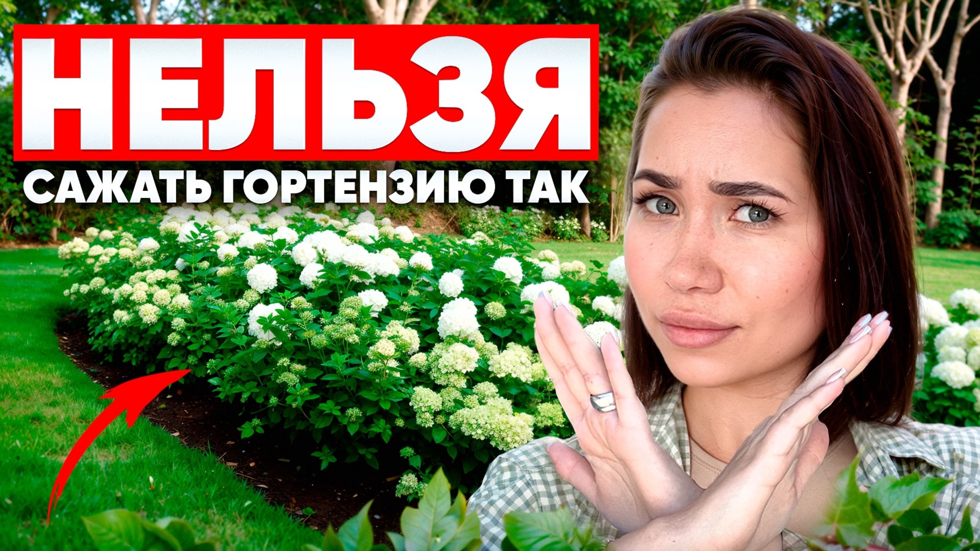 26 идей с гортензий из Pinterest которые изменят сад за 20 минут! смотреть онлайн