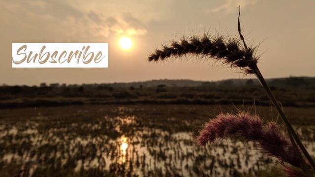 Parallax Effect | After Effects