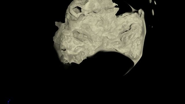 Halichondria panicea смотреть онлайн
