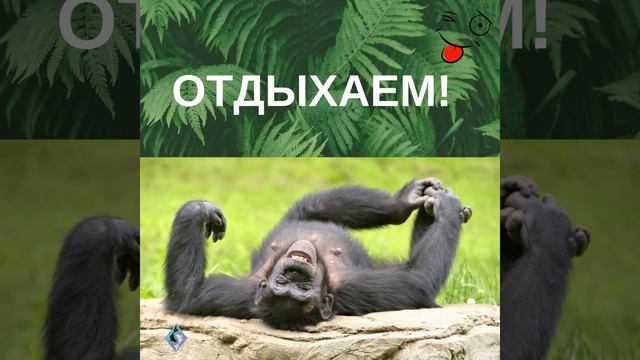 ОТДЫХАЕМ! :-) #shorts смотреть онлайн