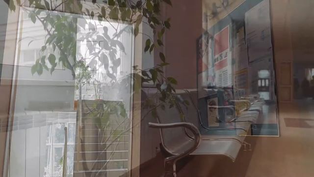 Історико-філософський факультет: випуск бакалаврів 2020 року смотреть онлайн