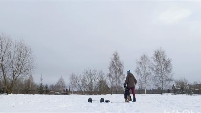 Дик Найт Эль'Тайм Вигорлат 8 месяцев смотреть онлайн