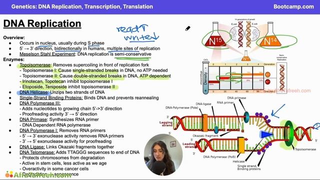 DNA Replication, Transcription, And Translation-1. DNA Replication Atf
