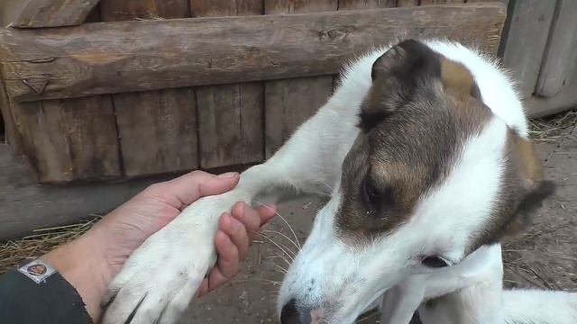 Поездка на Новгородчину к Саше и Диане