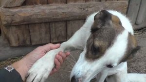 Поездка на Новгородчину к Саше и Диане