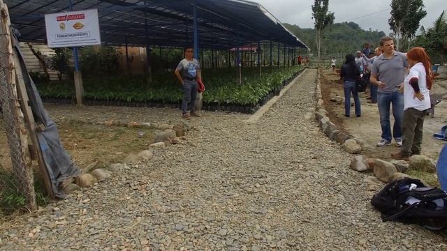Cocoa nurseries program is expanding in Indonesia смотреть онлайн