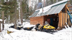 Рассомаха на путике. Лисы приходят в избушки. проверка капканов на соболя.