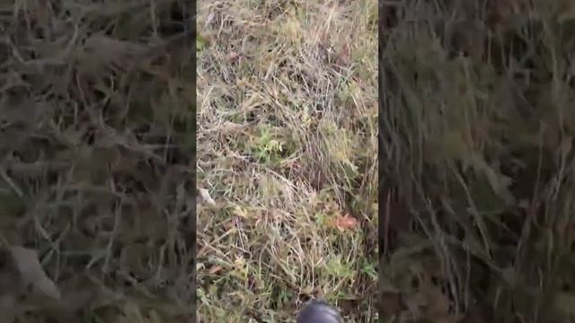 Шикарная находка!