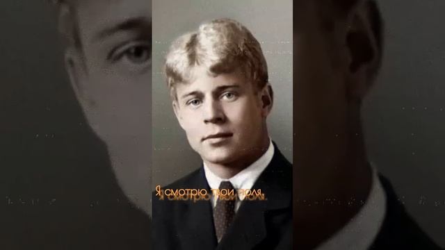 ЕСЕНИН С.А.-ГОЙ ТЫ, РУСЬ, МОЯ РОДНАЯ...Ч.1♡https://t.me/animadom #стихи #поэзия #люди #литература смотреть онлайн