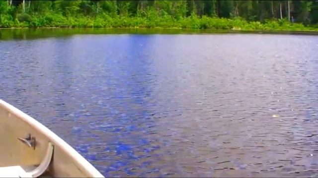 Tascam 134 4-track cassette.... "Brats and Beans" .... Memorial Day 2011.wmv смотреть онлайн