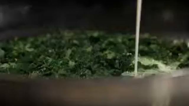 Ravioli u umaku od špinata i mascarponea - Fini Recepti by Crochef смотреть онлайн