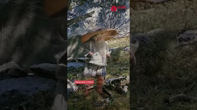 СКАЗКИ Александра Роу, которые интересно смотреть в любом возрасте! «Марья-искусница», «Морозко» смотреть онлайн