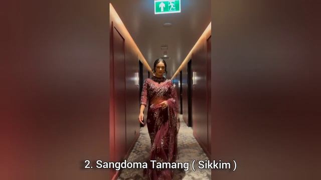 Miss Universe India 2024 | Northeast 🇮🇳 Wishlist Group 1