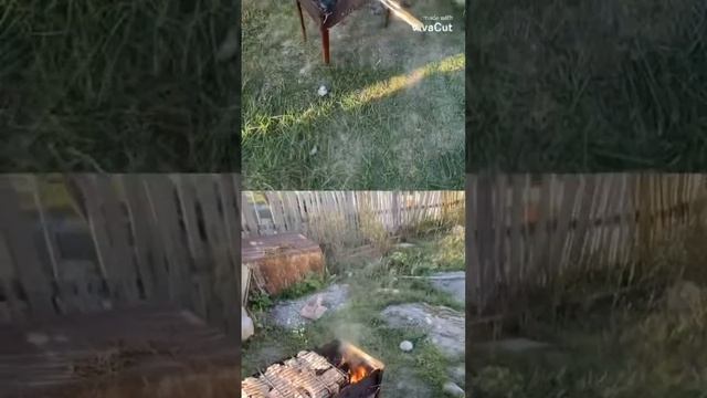 Готовим шашлык из куриных крылышек смотреть онлайн