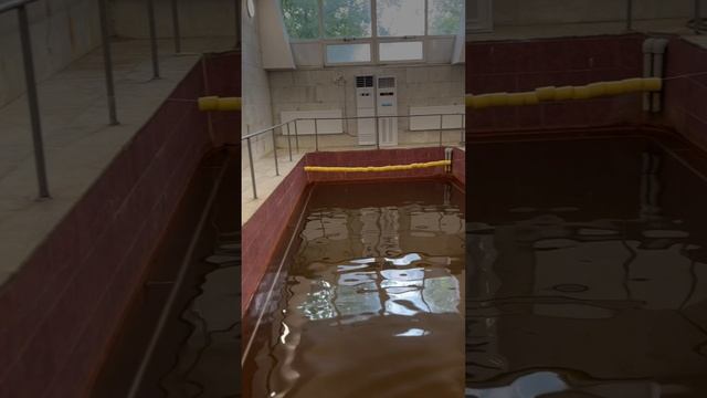 Где отдохнуть в Краснодаре с пользой для здоровья? смотреть онлайн