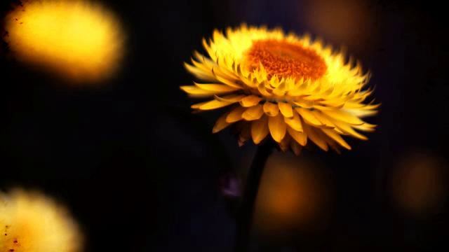 Слушать самую свежую новинку с тв 2015 года смотреть онлайн